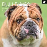 Bulldogs 2026 Calendar