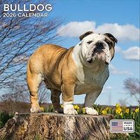 Bulldogs 2026 Calendar