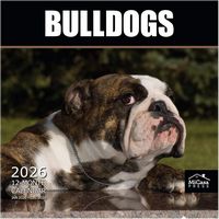 Bulldogs 2026 Calendar