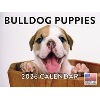 Bulldog Puppies 2026 Calendar