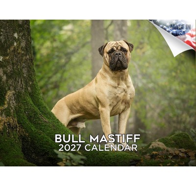 Bull Mastiff 2027 Calendar