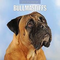 Bullmastiff 2026 Calendar