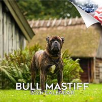 Bullmastiff 2026 Calendar