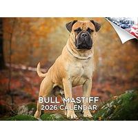 Bullmastiff 2026 Calendar