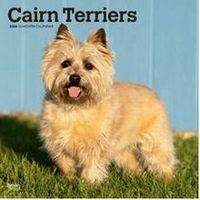 Cairn Terriers 2026 Calendar