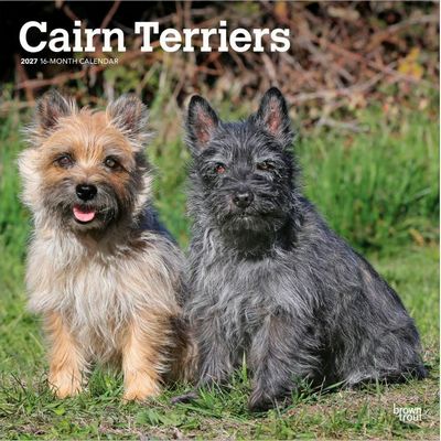 Cairn Terriers 2027 Calendar