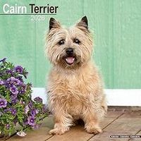 Cairn Terriers 2026 Calendar
