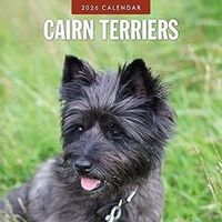 Cairn Terriers 2026 Calendar