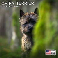Cairn Terriers 2026 Calendar
