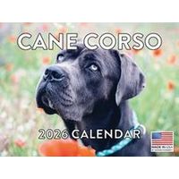 Cane Corso 2026 Calendar