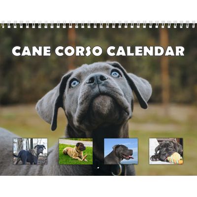 Cane Corso 2027 Calendar