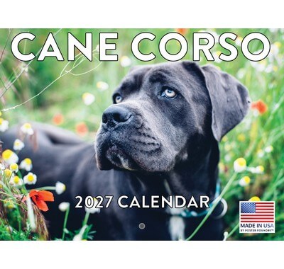 Cane Corso 2027 Calendar