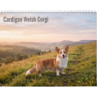 Cardigan Welsh Corgi 2027 Calendar