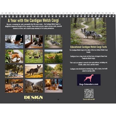 Cardigan Welsh Corgi 2027 Calendar