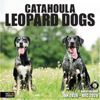 Catahoula Leopard Dogs 2026 Wall Calendar