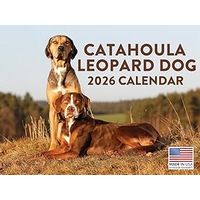 Catahoula Leopard Dogs 2026 Wall Calendar