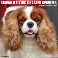 Cavalier King Charles 2026 Wall Calendar