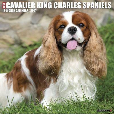 Cavalier King Charles 2027 Wall Calendar