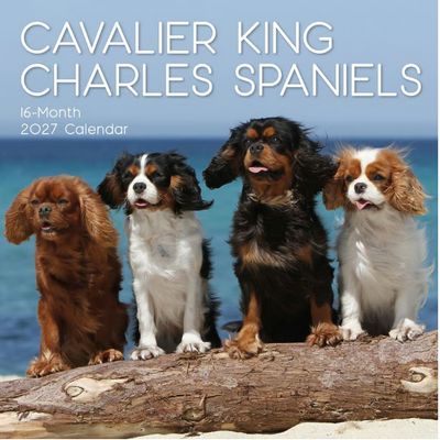 Cavalier King Charles 2027 Wall Calendar