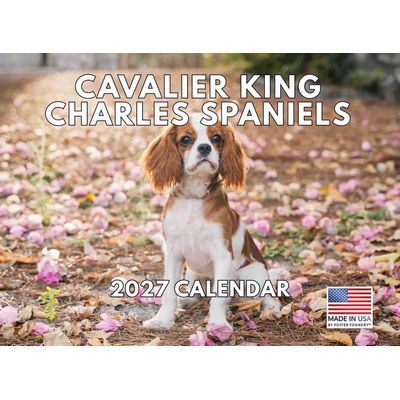 Cavalier King Charles 2027 Wall Calendar