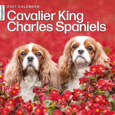 Cavalier King Charles 2027 Wall Calendar