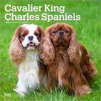 Cavalier King Charles Spaniels 2026 Calendar