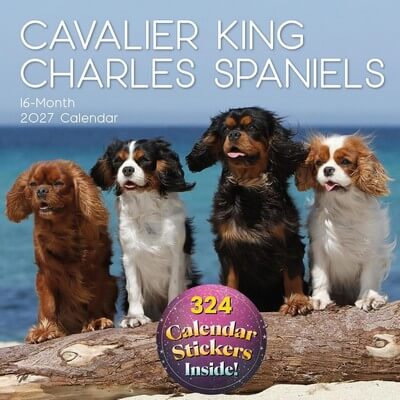 Cavalier King Charles 2027 Wall Calendar