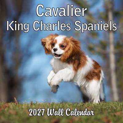 Cavalier King Charles 2027 Wall Calendar