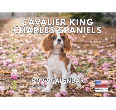 Cavalier King Charles 2027 Wall Calendar