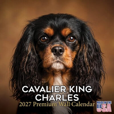 Cavalier King Charles 2027 Wall Calendar