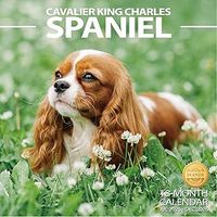 Cavalier King Charles Spaniel 2026 Calendar