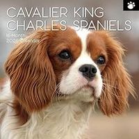 Cavalier King Charles Spaniel 2026 Calendar