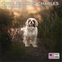 Cavalier King Charles Spaniel 2026 Calendar