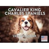 Cavalier King Charles Spaniel 2026 Calendar