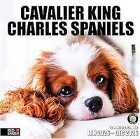 Cavalier King Charles Spaniel 2026 Calendar