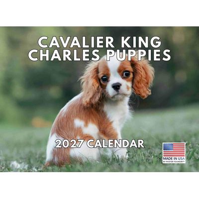 Cavalier King Charles Puppies 2027 Wall Calendar
