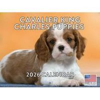 Cavalier King Charles Puppies 2026 Calendar