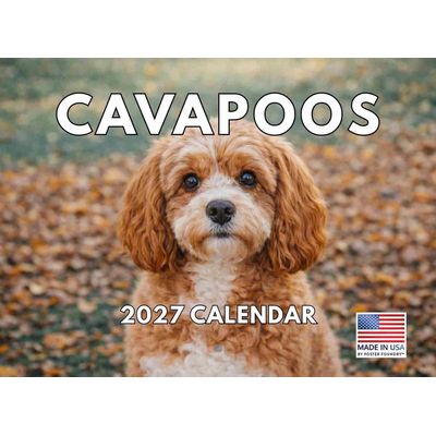 Cavapoos 2027 Calendar