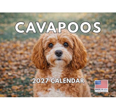 Cavapoos 2027 Calendar
