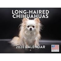 Long-Haired Chihuahuas 2026 Wall Calendar