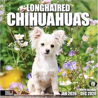 Long-Haired Chihuahuas 2026 Wall Calendar