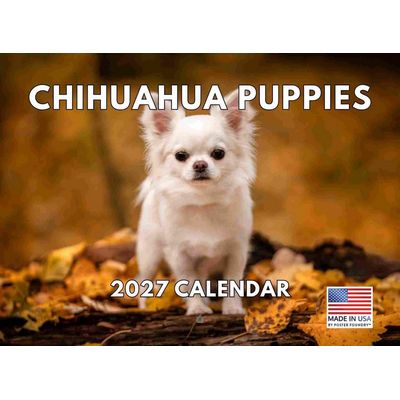 Chihuahua Puppies 2027 Calendar