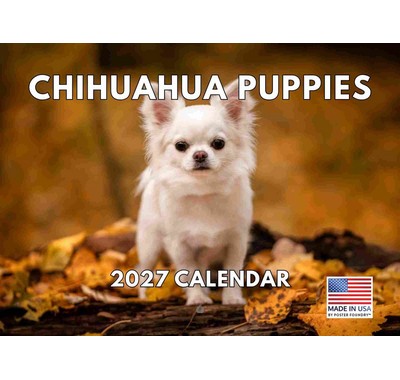 Chihuahua Puppies 2027 Mini Wall Calendar