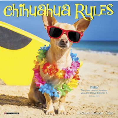 Chihuahuas Rules 2027 Mini Wall Calendar