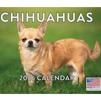 Chihuahuas 2026 Calendar