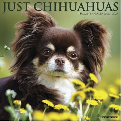 Chihuahuas 2027 Wall Calendar