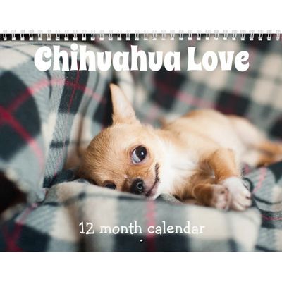 Chihuahua Love 2027 Wall Calendar