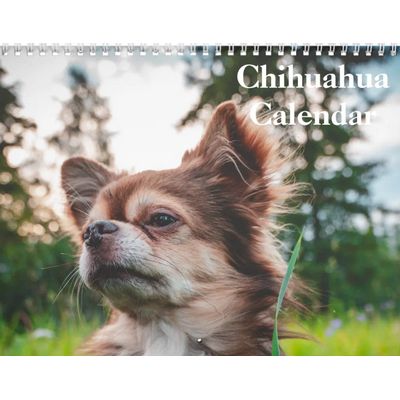 Chihuahuas 2027 Wall Calendar