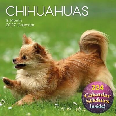 Chihuahuas 2027 Wall Calendar