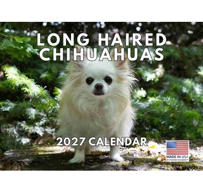Long Haired Chihuahuas 2027 Wall Calendar